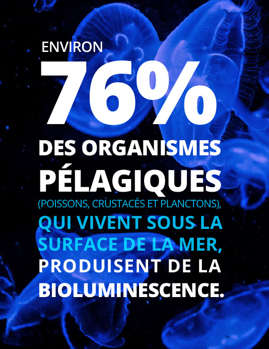 76% des organismes péagiques produisent de la bioluminescence